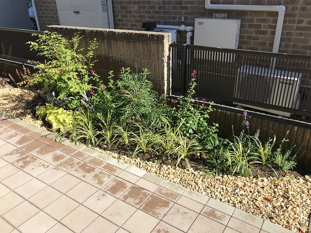 ボーダー花壇の植栽